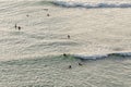 group of surfing under evening sunlight