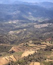 Aerial View of Growing fields in Priorat