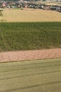 Aerial view of growing hops in a hop garden