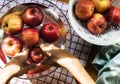 Aerial view of hands washing apples in bowl Royalty Free Stock Photo