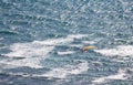 Aerial view of Hang glider