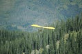 Aerial view of Hang Glider in mid air during Hang Gliding Festival, Telluride, Colorado with forest below