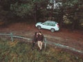 aerial view of happy couple country rural scenic