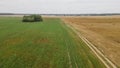 Aerial view of hay bales on the field after harvest. Landscape of straw bales on agricultural field. Countryside landscape Royalty Free Stock Photo