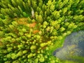 Aerial view of Helgtrask lake in Sipoonkorpi national park of Finland