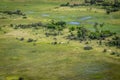 Aerial view of a herd of Elephants. Royalty Free Stock Photo