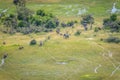 Aerial view of a herd of Elephants. Royalty Free Stock Photo