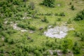 Aerial view of a herd of Elephants. Royalty Free Stock Photo