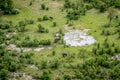 Aerial view of a herd of Elephants. Royalty Free Stock Photo