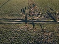 Aerial view of herd of fallow deer from above Royalty Free Stock Photo