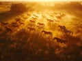 Aerial view, herd of wild horses running across field