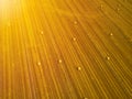 Aerial view from high altitude of a stubble field with round bales of straw on the field shone by the sun Royalty Free Stock Photo