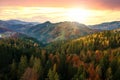 Aerial view of high mountain hills covered with dense yellow forest and green spruce trees in autumn Royalty Free Stock Photo