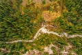 Aerial view of a high mountain steam and forest