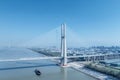 Aerial view of high speed train passes the cable-stayed bridge Royalty Free Stock Photo