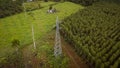 Aerial view of high voltage pylons and power lines between eucalyptus plantations. Top view of eucalyptus forest in Thailand.