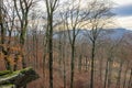 Aerial view from Hill with autumn woodscape in German Sauerland