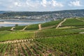 Aerial view of hills and vineyards above Rudesheim am Rhein in Rhine Valley Royalty Free Stock Photo