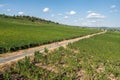 Aerial view of hills and vineyards above Rudesheim am Rhein in Rhine Valley Royalty Free Stock Photo