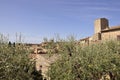 Aerial view of Historic Stone Houses of the Medieval San Gimignano hilltop town. Tuscany region. Italy Royalty Free Stock Photo