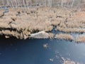 Aerial view home of wild beavers in a forest lake from a drone. Beautiful wildlife landscape