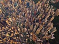 Aerial view of Hong Kong Downtown, China. Financial district and business centers in smart city in Asia. Top view of skyscraper Royalty Free Stock Photo