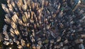 Aerial view of Hong Kong Downtown. Financial district and business centers in smart city in Asia. Top view of skyscraper and high Royalty Free Stock Photo