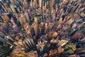 Aerial view of Hong Kong Downtown, Republic of China. Financial district and business centers in smart city in Asia. Top view of Royalty Free Stock Photo