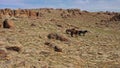 Aerial view on horses and rocks in Mongolia