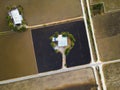 Aerial view house in the middle of paddy field Royalty Free Stock Photo