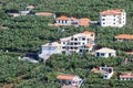 Aerial view at houses and banana plantations at Madeira Island, Portugal Royalty Free Stock Photo