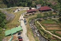 Aerial view of houses and paddy field and road by small river and forest in village