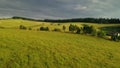 Aerial view of Hucul horses in the field in Sihla, Slovakia.