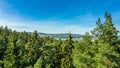 Aerial view of huge green fresh healthy tree forest Royalty Free Stock Photo