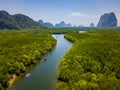 Aerial view of a huge mangrove forest and towering limestone pinnacles (Phangnga Bay, Thailand