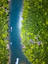 Aerial view of a huge mangrove forest and towering limestone pinnacles (Phangnga Bay, Thailand