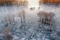 aerial view of ice skaters tracks on frozen lake Royalty Free Stock Photo