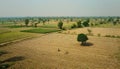 Rural Indian Farmland Royalty Free Stock Photo