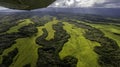 Aerial view of interior Kaui, Hawaii, USA near Lihue showing lush green meadows, tropical forests and the airplane wing