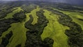 Aerial view of interior Kaui, Hawaii, USA near Lihue showing lush green meadows, tropical forests