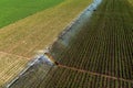 Aerial view of irrigation system in corn sprout field Royalty Free Stock Photo