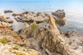 Aerial view on island rock with green tree in mediterranean sea. Spanish coastline of blue sea on sunny summer day Royalty Free Stock Photo