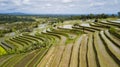 Aerial shot of Jatiluwih terraces ricefield