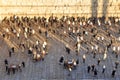 Aerial view of Jewish people praying in the Western Wailing in Jerusalem old city Israel