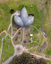 Aerial view of the Jurassic Museum in Colunga, Asturias