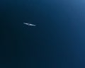 Aerial view of a kayaker paddling on a calm blue sea