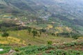 Aerial view of the Kharikhola village rice terraces