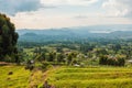 Aerial view of Kisoro Town seen from Mount Muhabura in the Mgahinga Gorilla National Park, Uganda