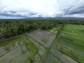 The aerial view of Kulonprogo, Yogyakarta reveals a captivating panorama of rice fields
