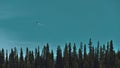 Aerial view of Lake Louise with turquoise water and canoeing people in Banff National Park, Alberta, Canada. Royalty Free Stock Photo